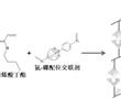 氮-硼配位交联剂及其制备方法、丙烯酸酯弹性体粘合剂及其制备方法