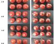 百香果膳食纤维/纳米氧化锌复合膜及其制备方法和应用